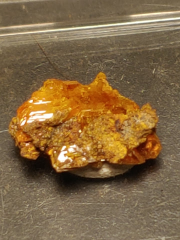 Wulfenite from Red Cloud Mine, Arizona.  1.4 cm #5243