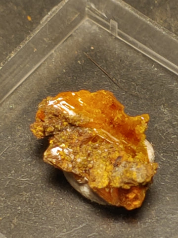 Wulfenite from Red Cloud Mine, Arizona.  1.4 cm #5243