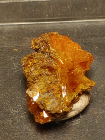 Wulfenite from Red Cloud Mine, Arizona.  1.4 cm #5243