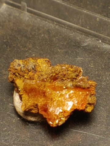 Wulfenite from Red Cloud Mine, Arizona.  1.4 cm #5243