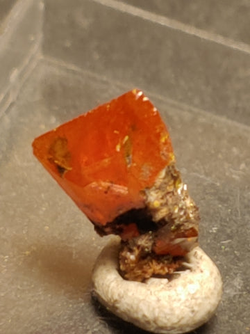 Wulfenite from Red Cloud Mine, Arizona.  1 cm #5245