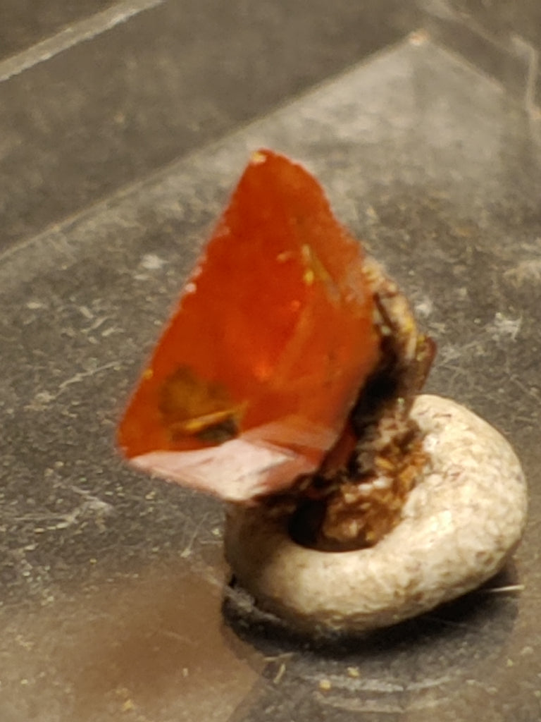 Wulfenite from Red Cloud Mine, Arizona.  1 cm #5245