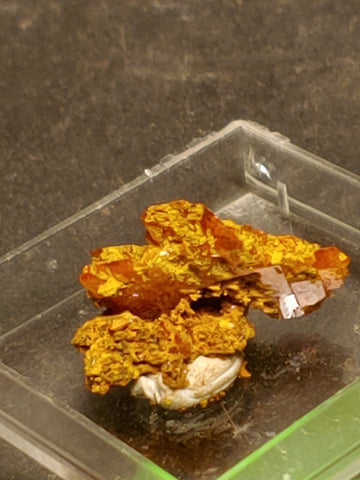 Wulfenite from Red Cloud Mine, Arizona.  1.8 cm #5246