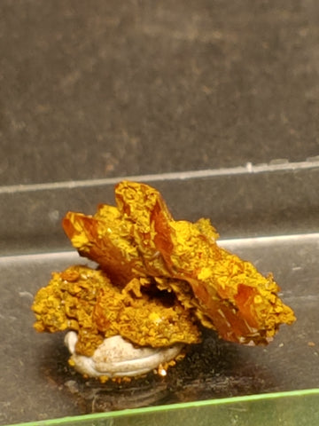Wulfenite from Red Cloud Mine, Arizona.  1.8 cm #5246