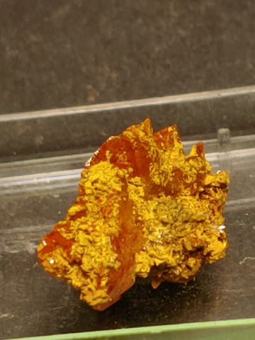 Wulfenite from Red Cloud Mine, Arizona.  1.8 cm #5246