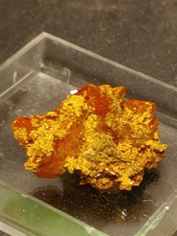 Wulfenite from Red Cloud Mine, Arizona.  1.8 cm #5246