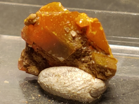 Wulfenite from Red Cloud Mine, Arizona.  1.5 cm #5248