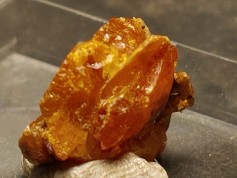 Wulfenite from Red Cloud Mine, Arizona.  1.5 cm #5248