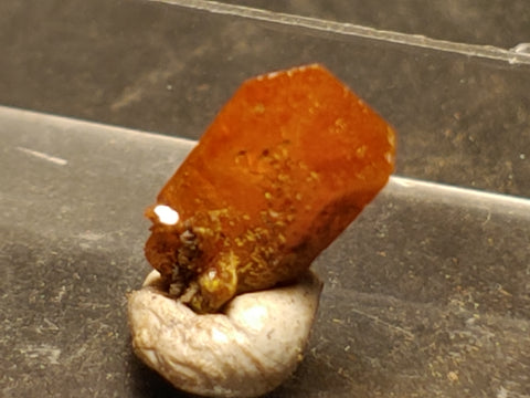 Wulfenite from Red Cloud Mine, Arizona.  0.8 cm #5251