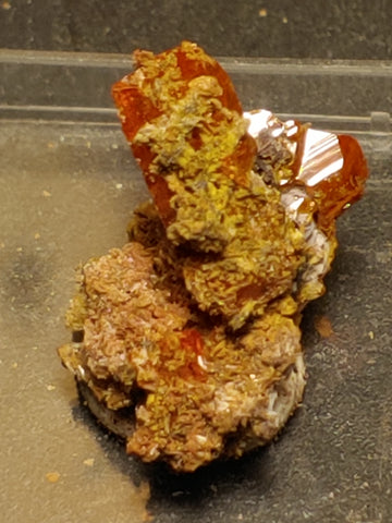 Wulfenite from Red Cloud Mine, Arizona.  2 cm #5253