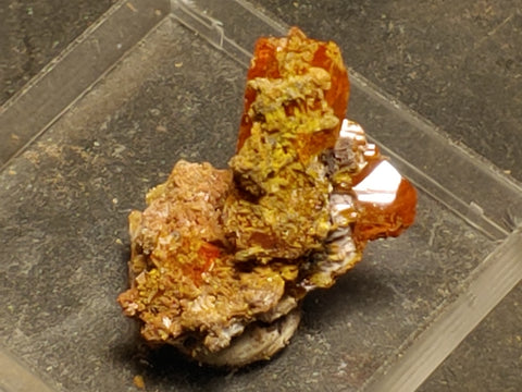 Wulfenite from Red Cloud Mine, Arizona.  2 cm #5253
