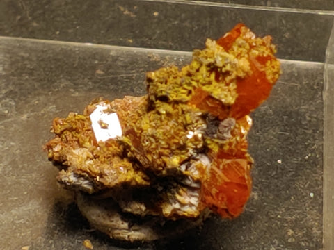 Wulfenite from Red Cloud Mine, Arizona.  2 cm #5253