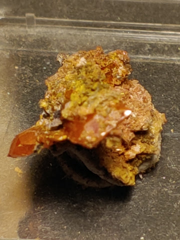 Wulfenite from Red Cloud Mine, Arizona.  2 cm #5253