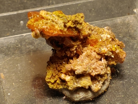 Wulfenite from Red Cloud Mine, Arizona.  2 cm #5253