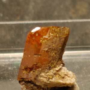 Wulfenite from Red Cloud Mine, Arizona.  1 cm #5254