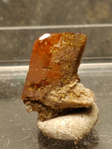 Wulfenite from Red Cloud Mine, Arizona.  1 cm #5254