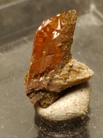 Wulfenite from Red Cloud Mine, Arizona.  1 cm #5254