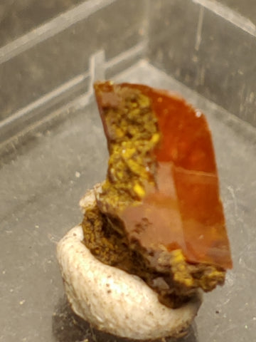 Wulfenite from Red Cloud Mine, Arizona.  1 cm #5254