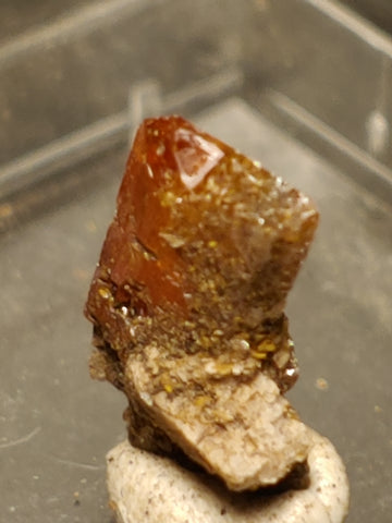 Wulfenite from Red Cloud Mine, Arizona.  1 cm #5254