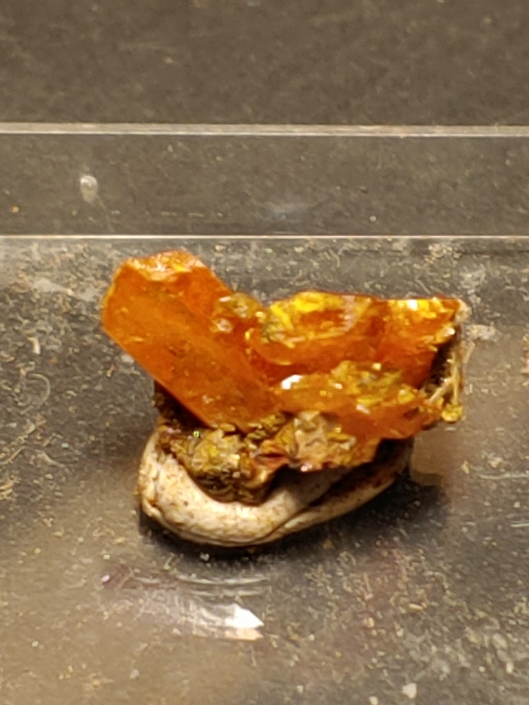 Wulfenite from Red Cloud Mine, Arizona.  1.2 cm #5257