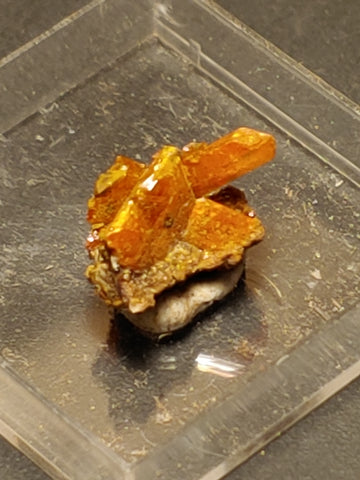 Wulfenite from Red Cloud Mine, Arizona.  1.2 cm #5257