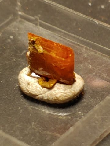 Wulfenite from Red Cloud Mine, Arizona.  0.8 cm #5258