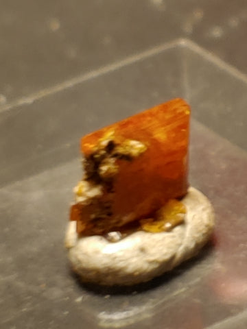 Wulfenite from Red Cloud Mine, Arizona.  0.8 cm #5258