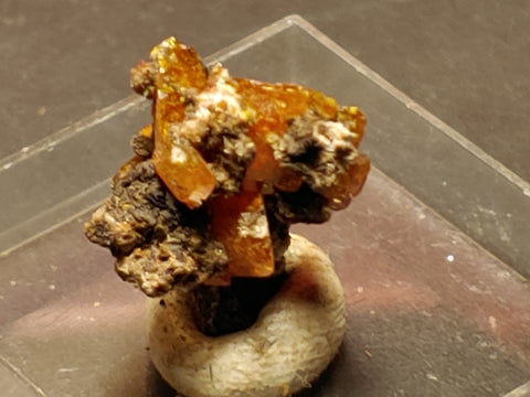 Wulfenite from Red Cloud Mine, Arizona.  1.4 cm #5260