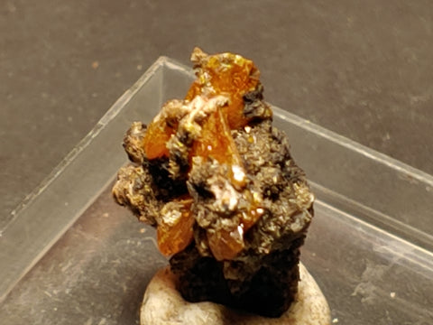 Wulfenite from Red Cloud Mine, Arizona.  1.4 cm #5260