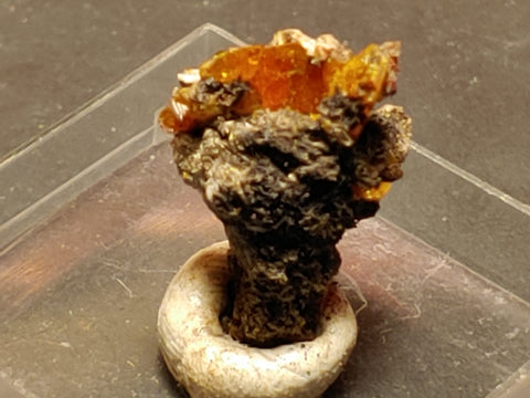 Wulfenite from Red Cloud Mine, Arizona.  1.4 cm #5260