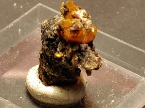 Wulfenite from Red Cloud Mine, Arizona.  1.4 cm #5260
