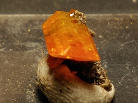 Wulfenite from Red Cloud Mine, Arizona.  0.7 cm #5261