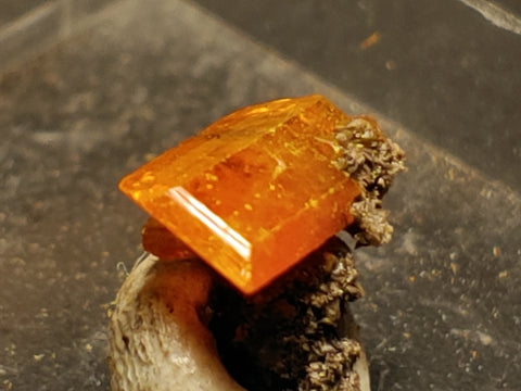 Wulfenite from Red Cloud Mine, Arizona.  0.7 cm #5261
