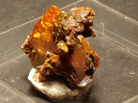 Wulfenite from Red Cloud Mine, Arizona.  2.4 cm #5267