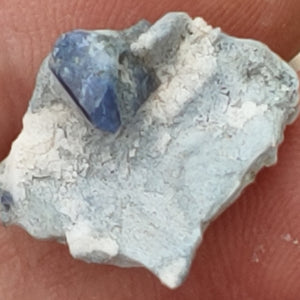 Benitoite Crystal from Gem Mine, California. 2.1 cm. #4219