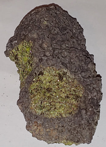 Peridot from San Carlos Reservation, Arizona. 10 cm #336