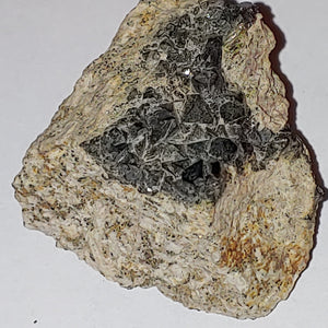Magnetite from Imilchil, Morocco. 5.3 cm #3526