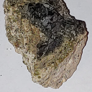 Magnetite from Imilchil, Morocco. 6.2 cm #3537
