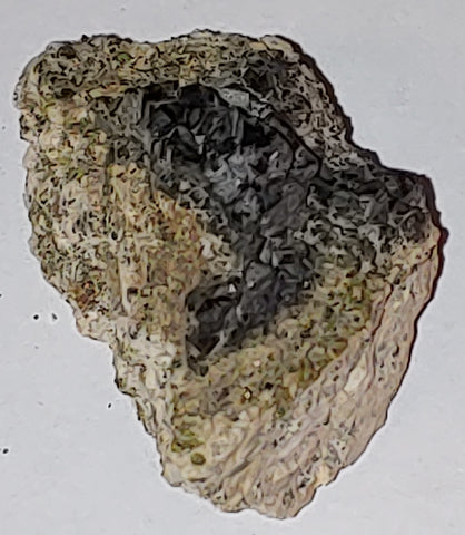 Magnetite from Imilchil, Morocco. 4.7 cm #3539