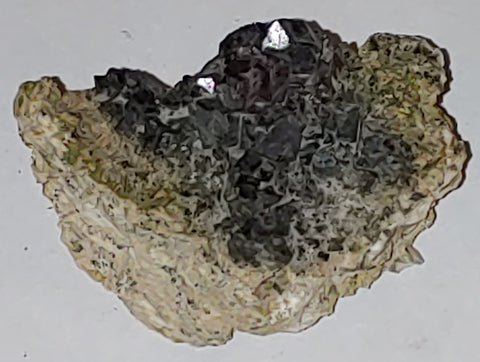 Magnetite from Imilchil, Morocco. 6.2 cm #3537