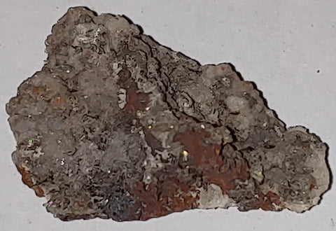 Austinite, Type Locality mineral, from Gold Hill, Tooele County, Utah. 3.1 cm #5041