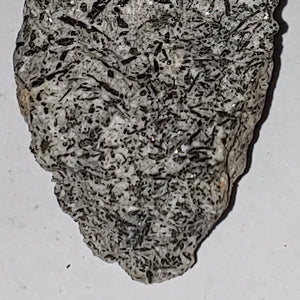Tourmaline from Dan Patch West Mine, Keystone, South Dakota. 7.9 cm #8081