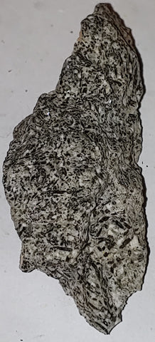 Tourmaline from Dan Patch West Mine, Keystone, South Dakota. 7.5 cm #8082