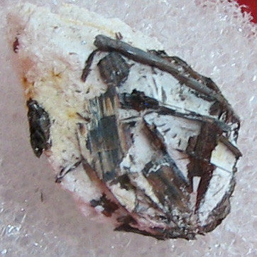 Huebnerite s10009