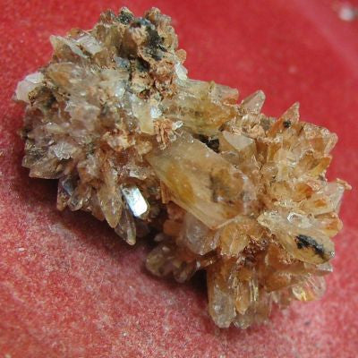 Creedite