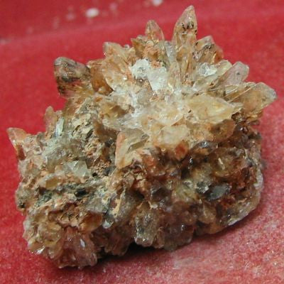 Creedite