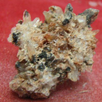 Creedite