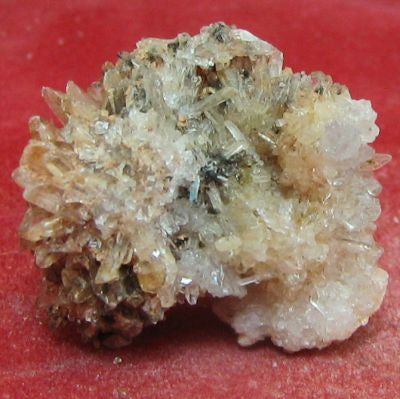 Creedite