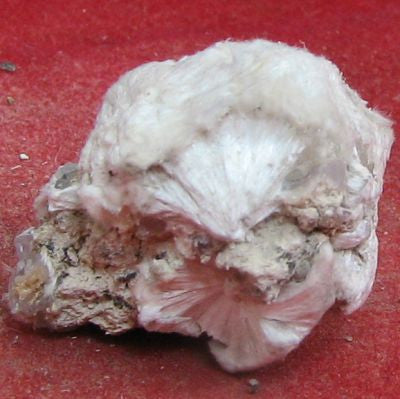 Pectolite