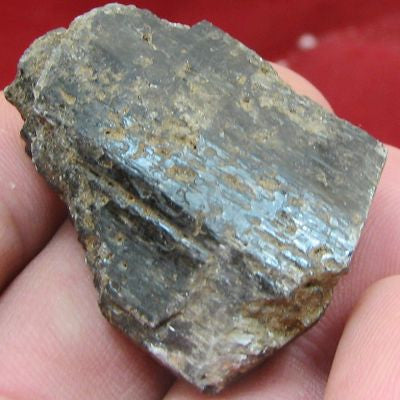 Fluororichterite